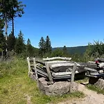 شقة Waldblick-appartement *