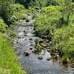 Waldblick-appartement Διαμέρισμα *