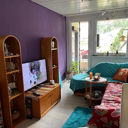 Apartment Waldblick-appartement *