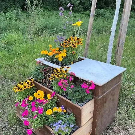 Apartment Waldblick-appartement *