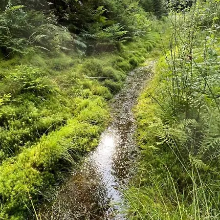 Waldblick-appartement *