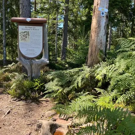 Waldblick-appartement Apartment *