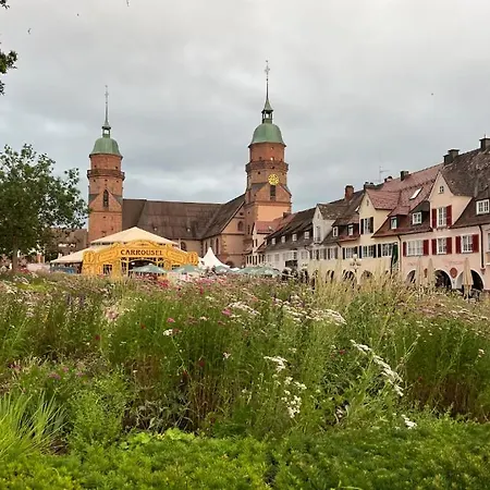 Apartment Waldblick-appartement *