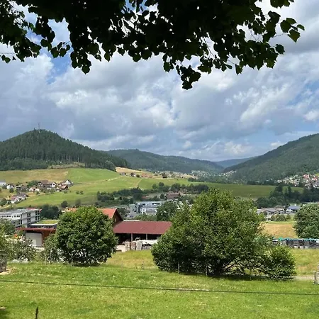 Waldblick-appartement Apartment
