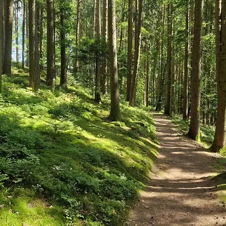 Apartment Waldblick-appartement