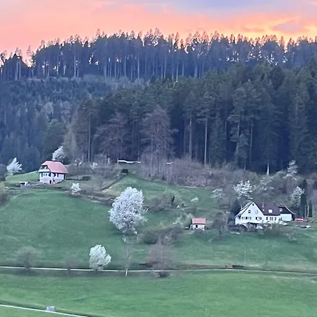 Waldblick-appartement Apartmán